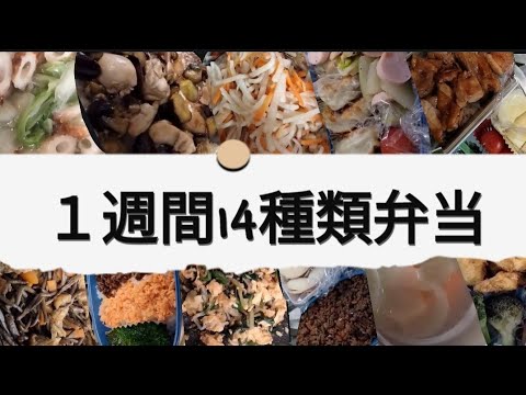 ②毎朝５時に起きて２種類の弁当を作る🍱I wake up at 5 a.m. every morning and make two kinds of lunch boxes