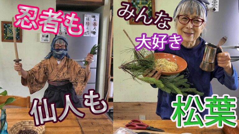 不老長寿にシニアライフに松葉、血液サラサラ健康食として、エスプレッソで、ハーブティーに、スムージーに、若芽や花は料理にも使えます