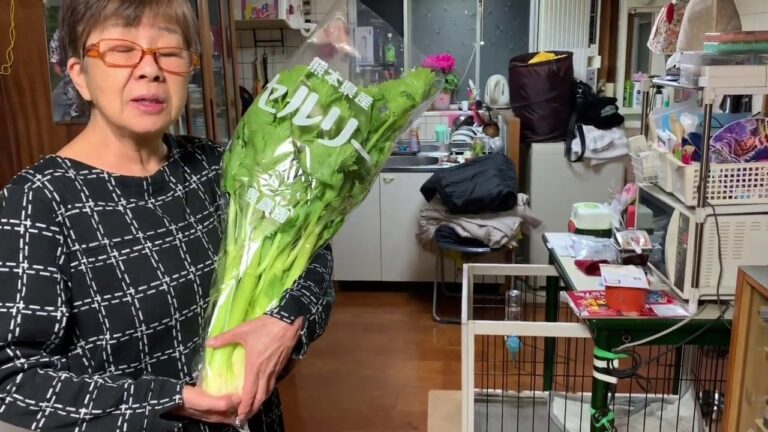 【刺身と僕と大きなセロリ】とある日の晩飯動画です