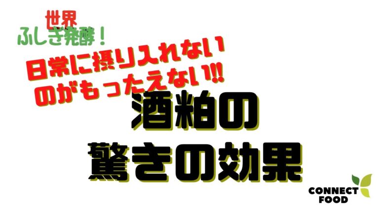 【酒粕の驚きの効果!!】レジスタントプロテインを多く含む酒粕を、日常に摂り入れないのはもったえないです