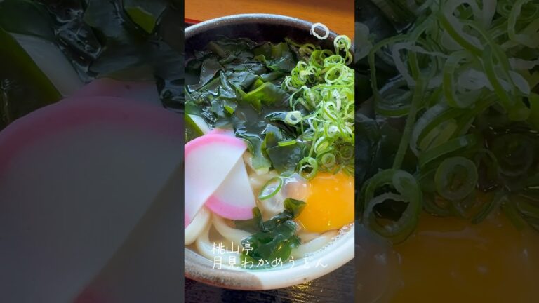 桃山亭月見わかめうどん