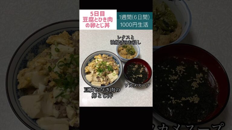 豆腐とひき肉の卵とじ丼#節約#料理#ごはん#1人暮らし#自炊#食事#節約生活#レシピ#献立#簡単#1週間#1000円 #豆腐 #卵 #丼 #副菜 #作り置き #電子レンジ#shorts