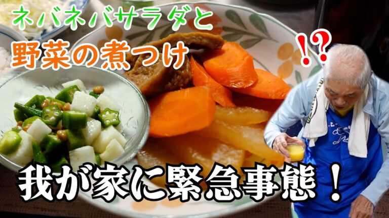 とある日の夕食ばあちゃんの煮つけとネバネバサラダとで夕食後緊急事態発生。