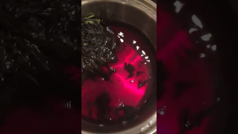 【ノンシュガー】赤紫蘇健康ドリンク作ってみた。