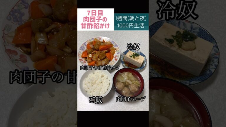肉団子の甘酢餡かけ#節約#料理#ごはん#1人暮らし#自炊#食事#節約生活#レシピ#献立#簡単#1週間#1000円 #副菜 #作り置き #shorts