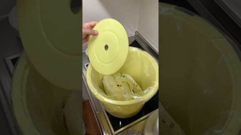 【たろうの白菜漬け】今が旬！スーパーで安く手に入ったら作りましょう#shorts