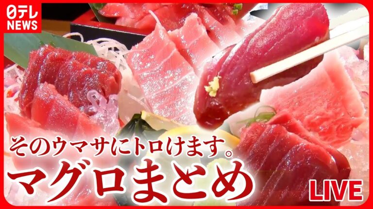 【マグロまとめ】メニューはマグロ丼だけ！高級寿司店監修の専門店/ 他では味わえない　マグロ珍味丼/とれたて！魚市場でマグロ食べ放題 　など（日テレNEWSLIVE）