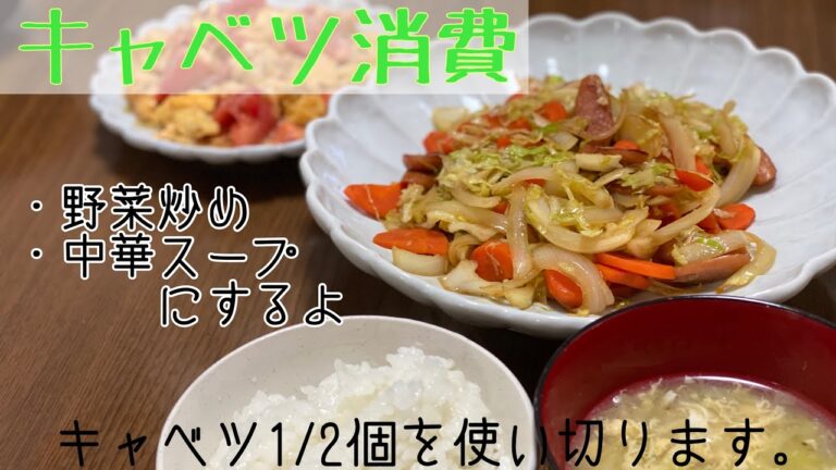 【大量消費】キャベツを1/2個を消費する動画【野菜炒め】
