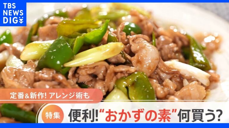 【のぞき見】食卓の強い味方「おかずの素」みなさん何を買う？スーパーでの買い物をのぞき見！｜TBS NEWS DIG