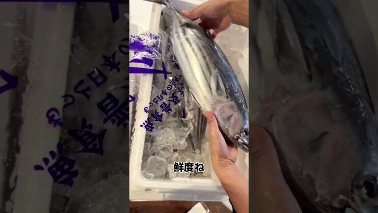 けんけん かつお の 目利き ！ #せり人ムタロー #shorts