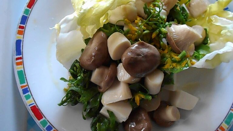 おひるご飯　菜の花サラダ２０１９年４月１８日　自然農法家ともちゃん