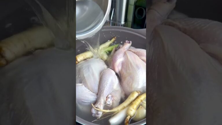 韓国鍋料理の参鶏湯で免疫力アップ、疲労回復、健康維持 #shorts