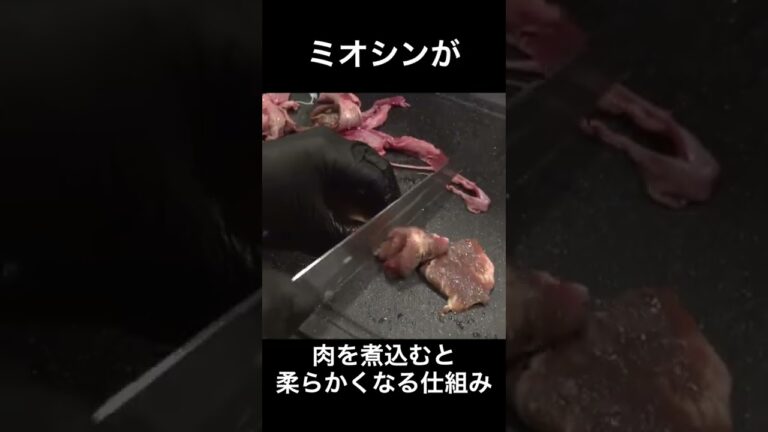 なぜ肉を煮込むと柔らかくなるのかが分かる動画#shorts