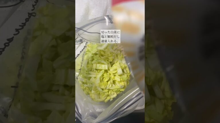 【常備菜】白菜大量消費！冷蔵庫に常備しておくと助かる！#shorts #常備菜 #白菜 #レシピ #白菜サラダ #2023 #ズボラ主婦 #ダイエット