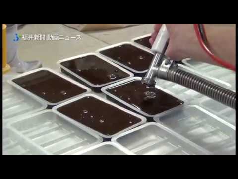 福井の水ようかん、舌触りつるん