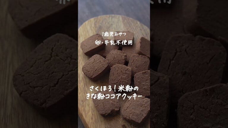 【牛乳卵小麦粉不使用】きな粉ココアクッキー【1歳おやつ・離乳食完了期】