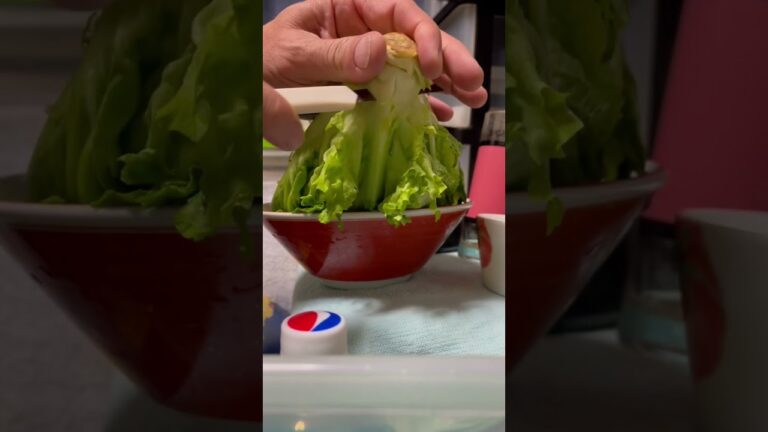サニーレタスを頂いた。芯をカッターで切って醤油をかけて食べる。ワイルドだろ〜。