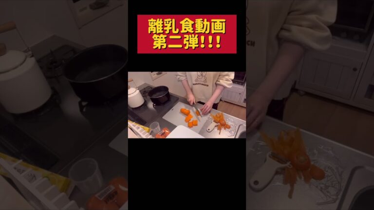 【離乳食】ズボラおかん、娘ちゃんが寝たので夜な夜な無心で離乳食作る#生後10ヶ月#離乳食#離乳食後期#離乳食ストック #赤ちゃん #baby#ズボラ主婦