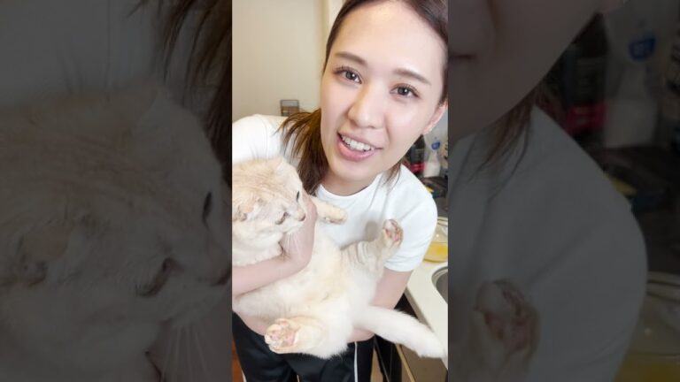 100日後に完璧なだし巻き卵を作るお姉さん【97日目】 #Shorts