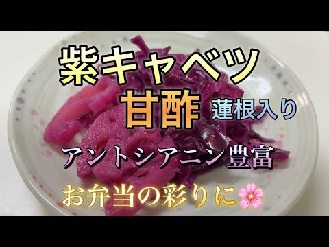 紫キャベツの美味しい甘酢