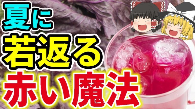 【赤い魔法】材料３つ！疲労回復や美容に効果抜群！しそジュース【ゆっくり解説】