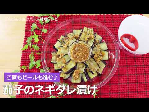 ぶんぶんチョッパー(茄子のネギダレ漬け)