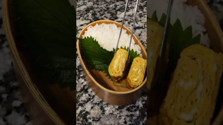 【夫に作るお弁当】寝坊しても早起きしてもクオリティは変わらない  #Shorts #お弁当 #豚こま