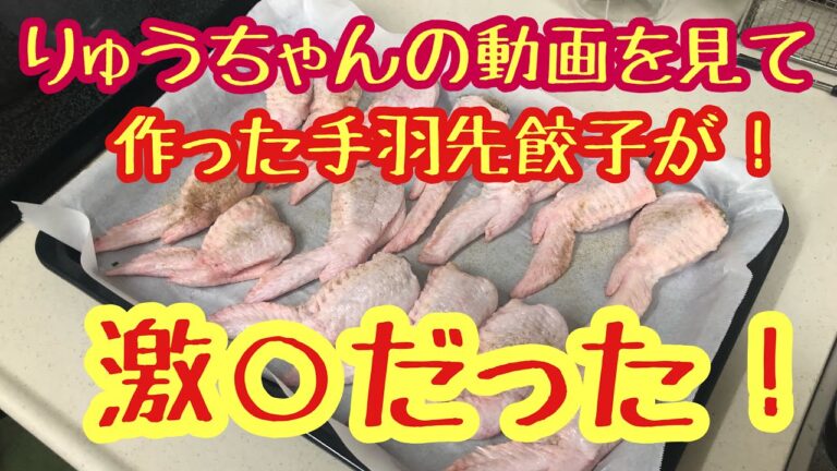 りゅうちゃんねるさんの 手羽先餃子を作ったら とんでもないことに！
