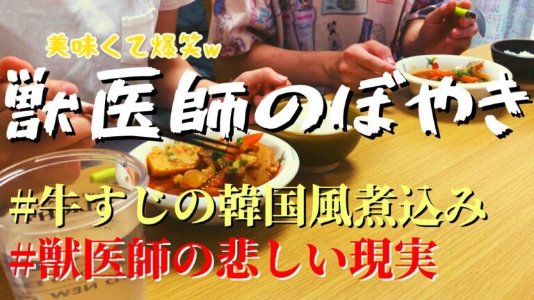 【業務スーパー】韓国風牛すじ煮込み/料理できない獣医師(夫)の煮込み料理⑤【旦那飯】