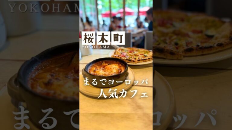 気持ちの良い空間のおしゃれなカフェでお値段もリーズナブルで美味しいアマルフィカフェみなとみらい店 #shorts #横浜グルメ