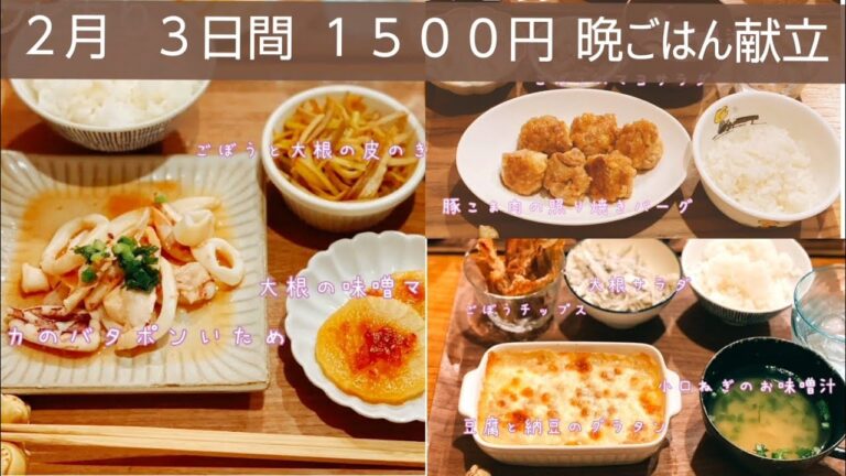 【節約晩ごはん!】豆腐と納豆のグラタン／イカのバタポン炒め／豚こま照り焼きバーグ／献立／時短