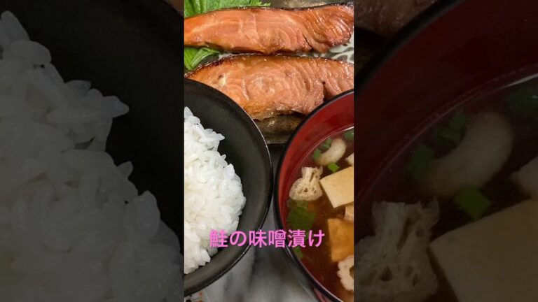 鮭の味噌漬けmiso marinated salmon