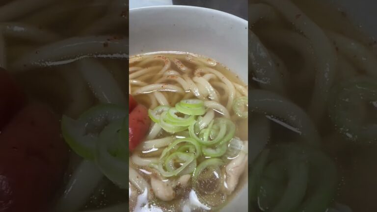 2023年4月23日さっぱり梅うどん❗️#うどん#shorts