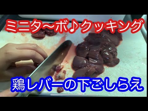 【ミニタ〜ボ♪クッキング】鶏レバーの下ごしらえ【解簡単レシピ】