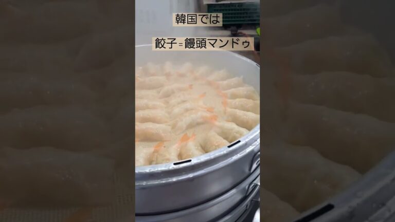 韓国の餃子は大きくて具だくさんで美味しいです#韓国屋台#koreafood#韓国旅行#セイコス#shorts