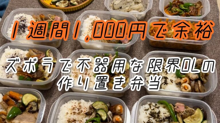 【手抜きで簡単】ズボラで不器用な限界OLでも2000円で２週間分のお弁当を作り置きできる【20代独身女】【節約ルーティン】