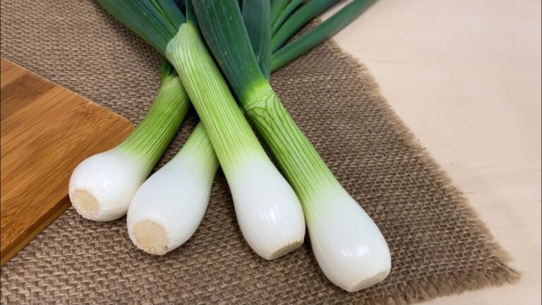 葉たまねぎ〈野菜の食べ方＆調理方法〉by食育マルシェおうち便