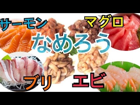 王道の刺身4種のなめろう、作ってみた！