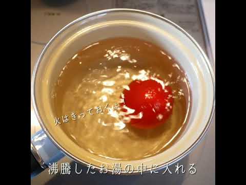 離乳食　トマトの下処理