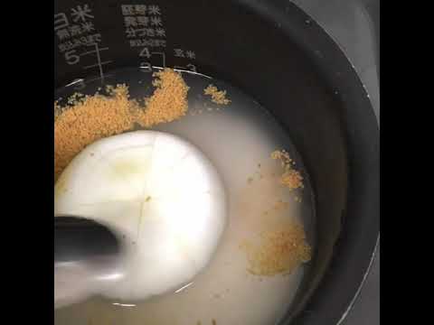 地球が遊び場🌏新たまねぎご飯