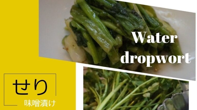 【セリのレシピ】味噌漬け⏰ 出来上がりまで約5時間