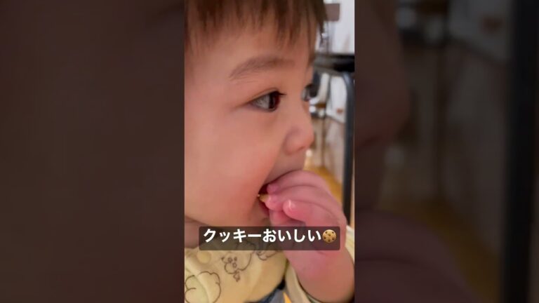 9ヶ月赤ちゃんがクッキーを美味しく食べる動画です🍪