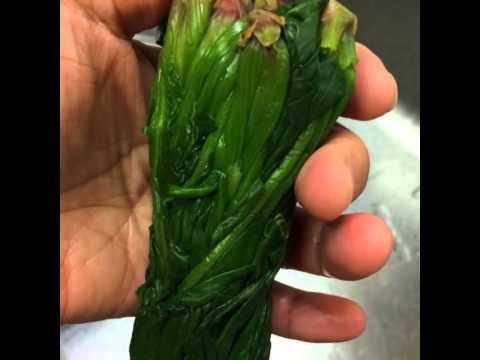 ほうれん草の素材を生かしたマヨ和え 　和食　脳若料理