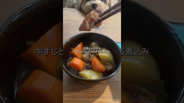 手間暇かけて作ってくれたお料理は格別においしいな😋#牛すじ煮込み#料理動画#ゆりごはん#cookingvideo#japanesefood