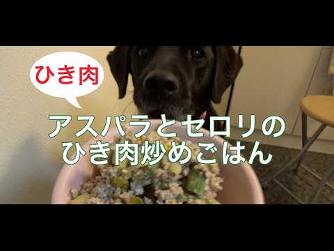 大型犬の手作り食：アスパラ・セロリのひき肉炒めごはん