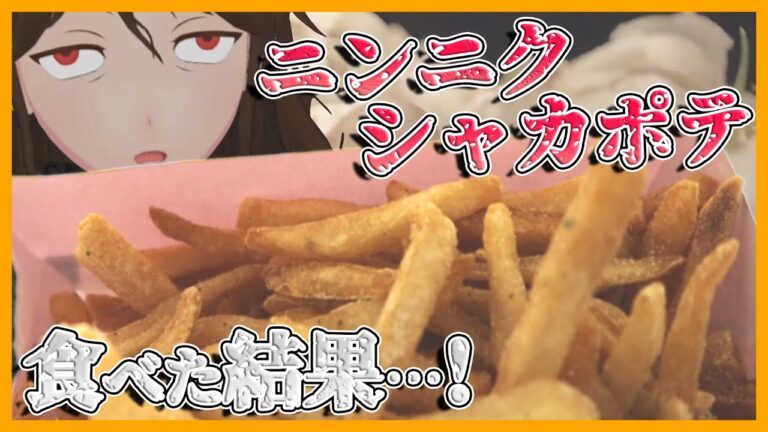 【マクドナルド】「にんにく黒胡椒マヨ」味のシャカシャカポテト！？シャカシャカ商品4種食べたらまさかの神メニューが！？【454】