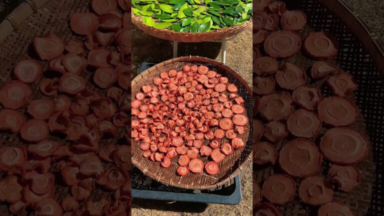 【丘の上のモネの家】ドライ人参は魔法の食材！味がギュッと詰まってめちゃくちゃ美味しい