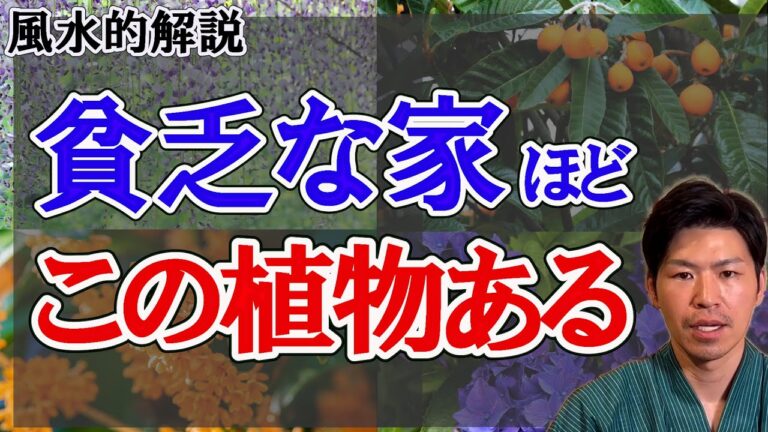 霊を呼んで、貧乏になった家に高確率であった植物。植物の声を風水で解説。幸運の木。縁起の悪い木。生霊と死霊。