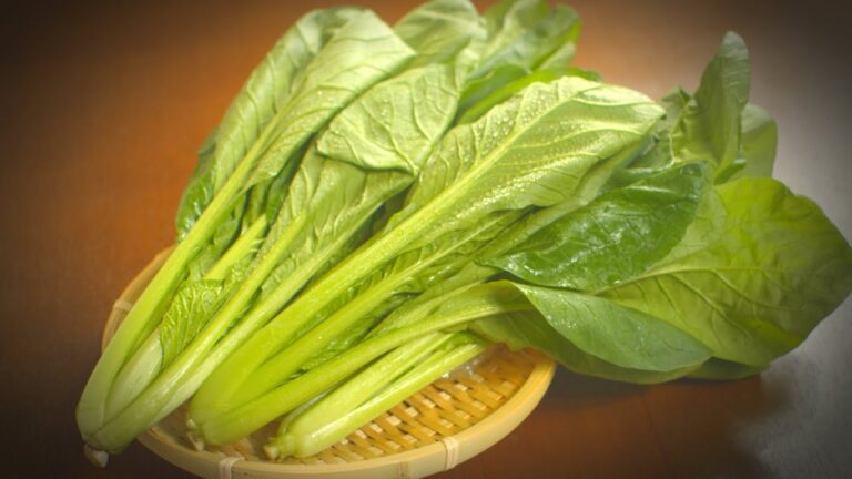 【小松菜 レシピ】リピ確定！見たら作りたくなる 小松菜の使い方