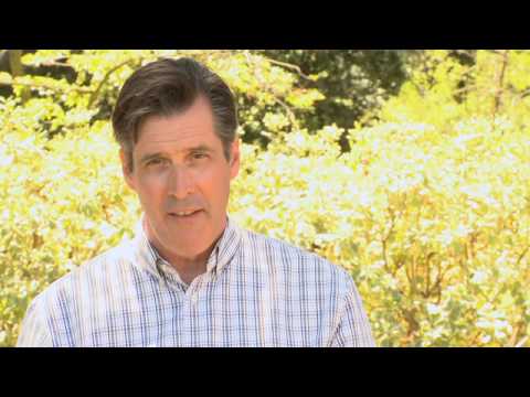 Spiced Tri-Tip Roast with Pear, Radicchio, and Blue Cheese Salad